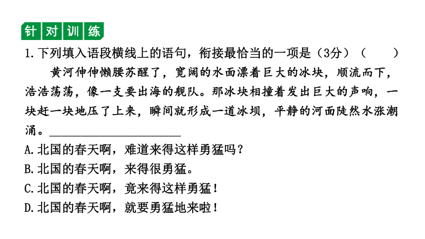 2024年四川中考语文二轮复习 选用、仿用、变换句和修辞考点突破集训 课件(共39张PPT)