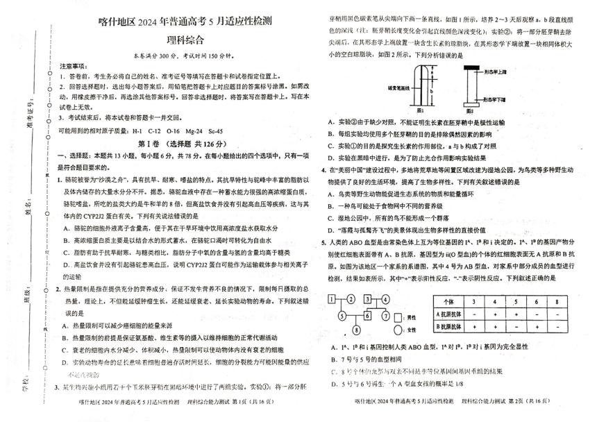 新疆喀什地区2024届高三下学期5月适应性检测试题 理综 （扫描版含答案）