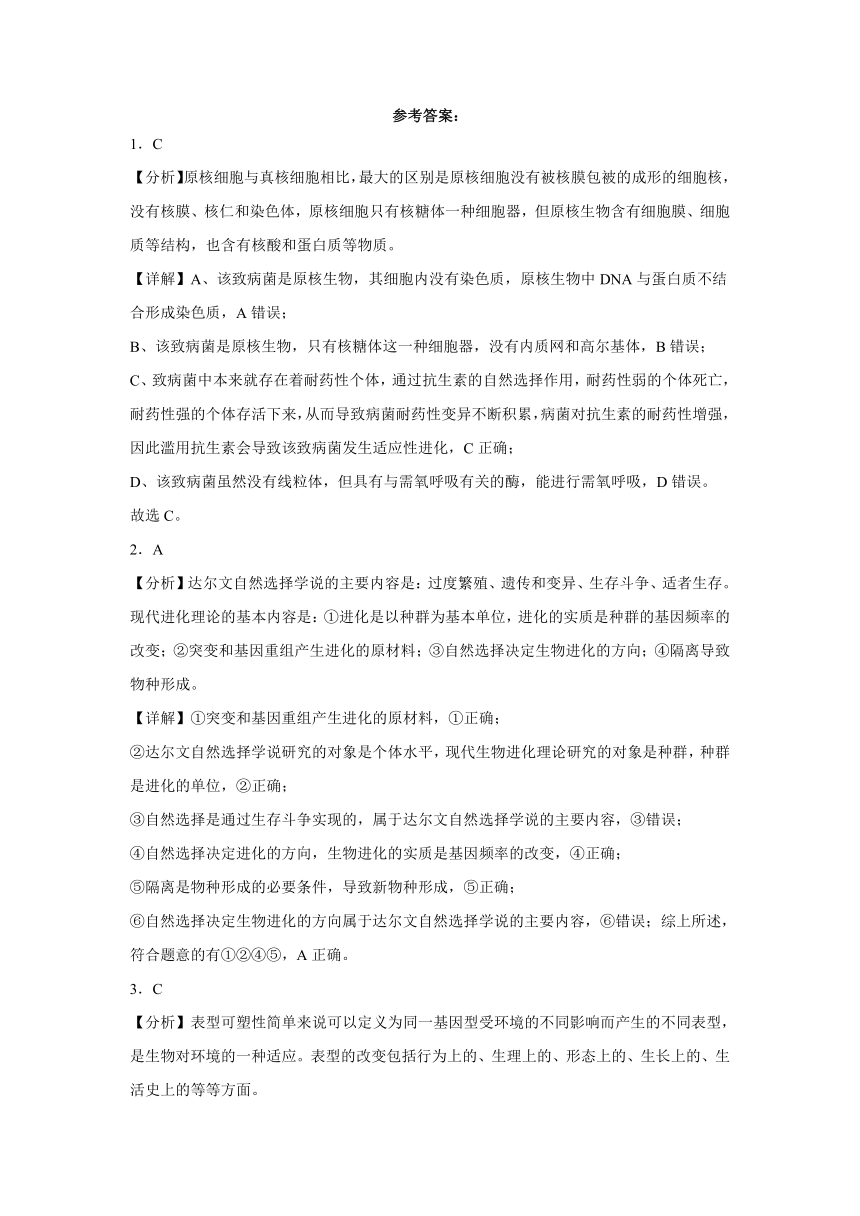 6.2 自然选择与适应的形成 同步练习(含解析）-2023-2024学年高一下学期生物必修2