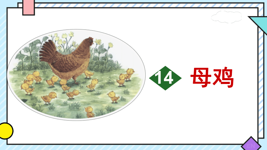 14 《母鸡》课件(共33张PPT)