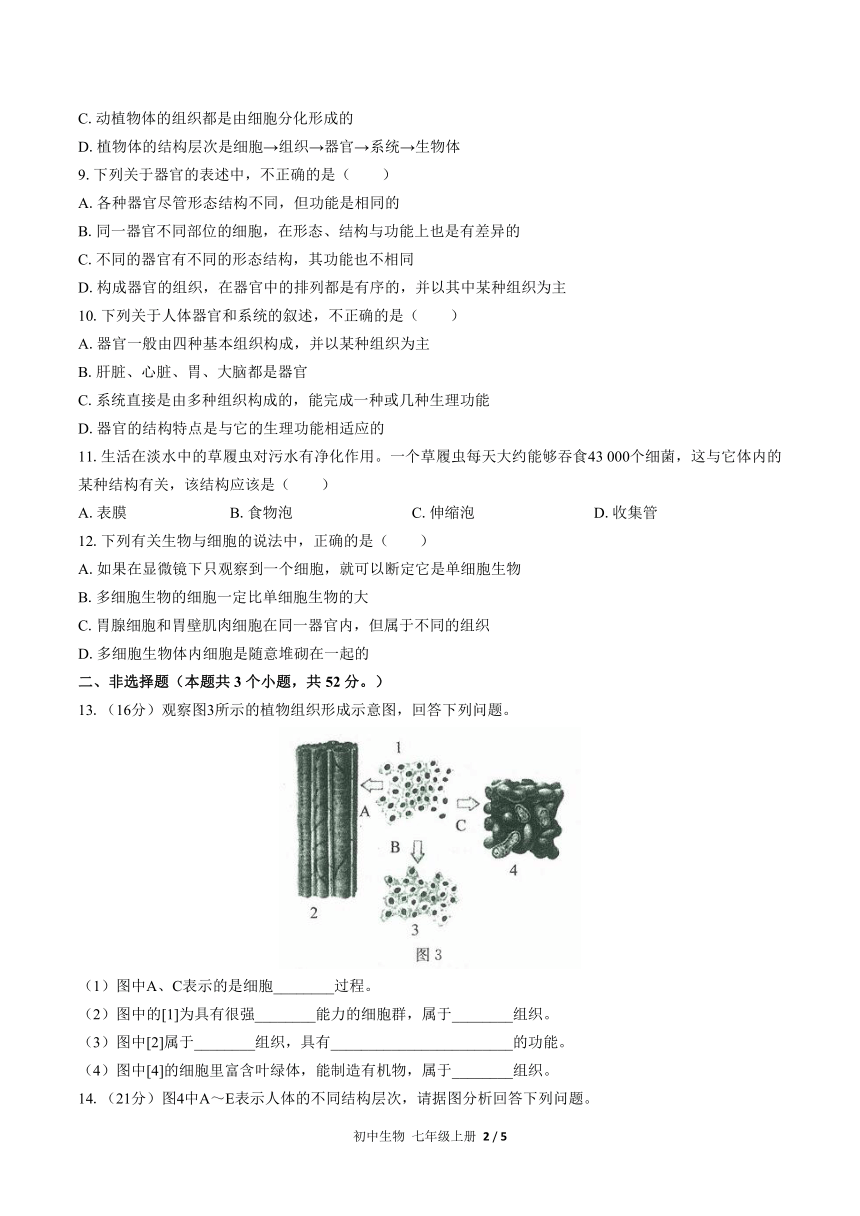 （人教版）初中生物七上 第二单元第二章综合测试（含答案）