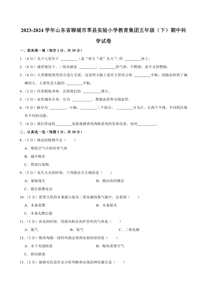 山东省聊城市莘县实验小学教育集团2023-2024学年五年级下学期期中考试科学试题（含答案）