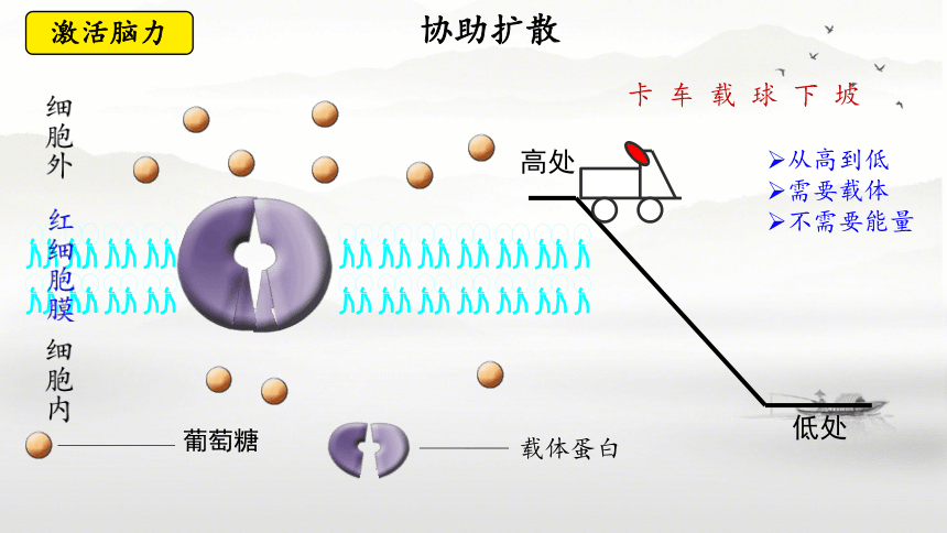 4.2 主动运输与胞吞、胞吐课件-(共29张PPT2份视频)人教版（2019）必修1