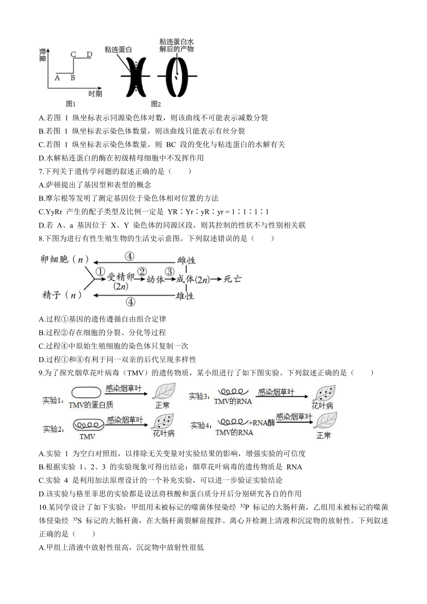 山东省济南市重点高中2023-2024学年高一下学期5月期中考试 生物（含答案）