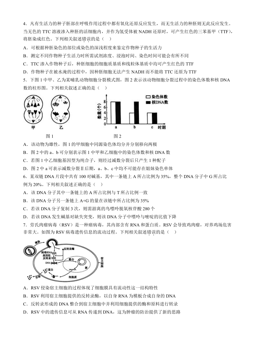 2024届河北省沧州市部分高中高三下学期二模生物试题（含解析）