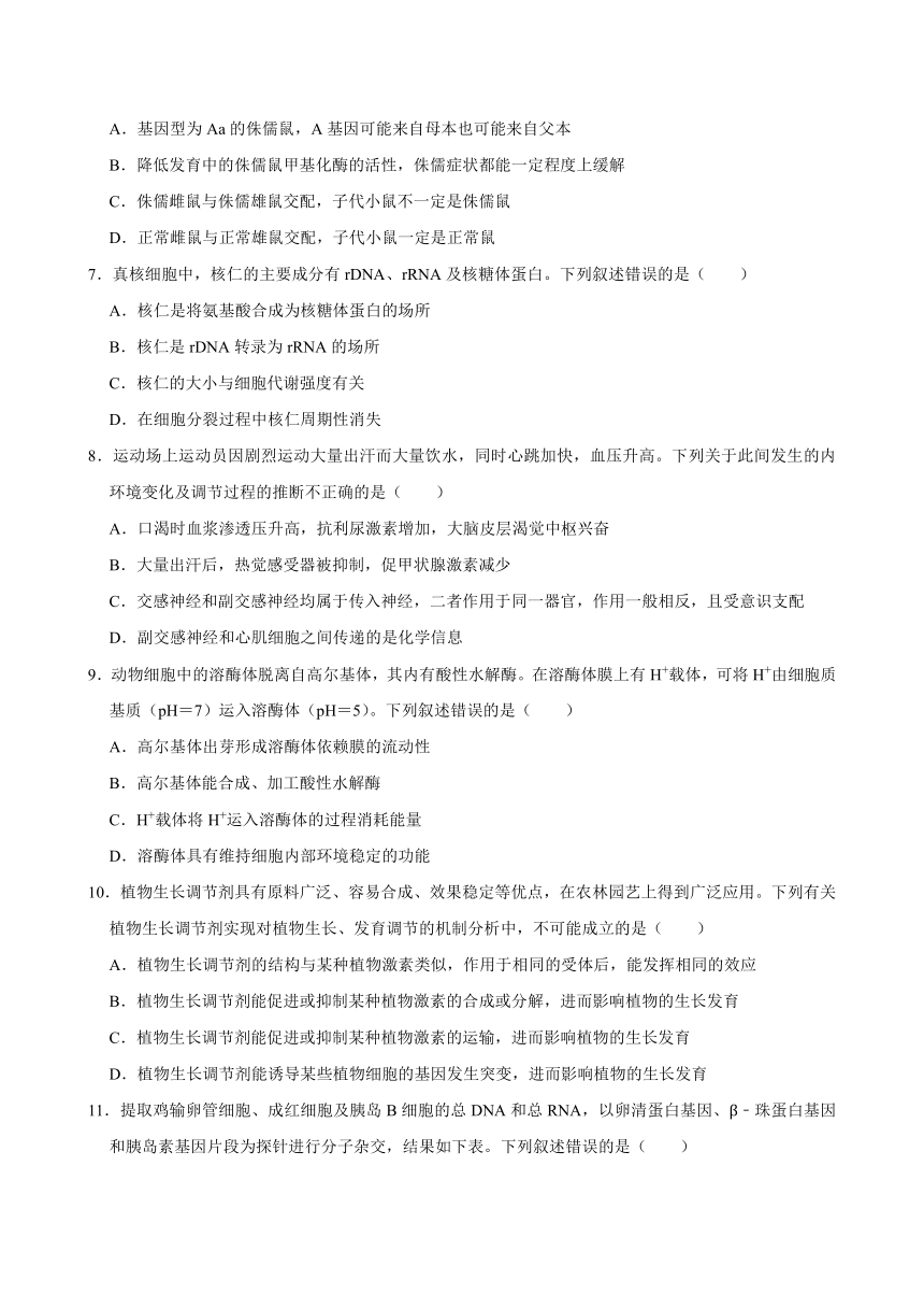 湖南省岳阳市岳汨五月联考2023-2024学年高三下学期5月月考生物学试题（含答案）