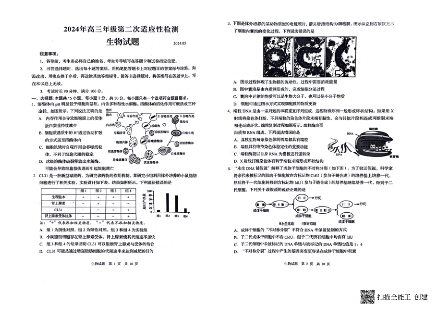 山东省青岛市2024年高三年级第二次适应性检测生物试题（PDF版，无答案）