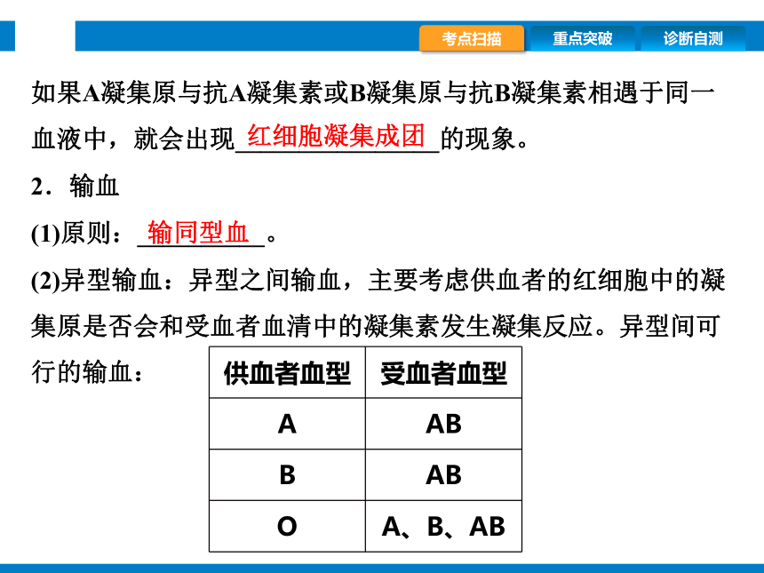 2024浙江省中考科学复习第7讲　动物的新陈代谢（2）（课件 44张PPT）