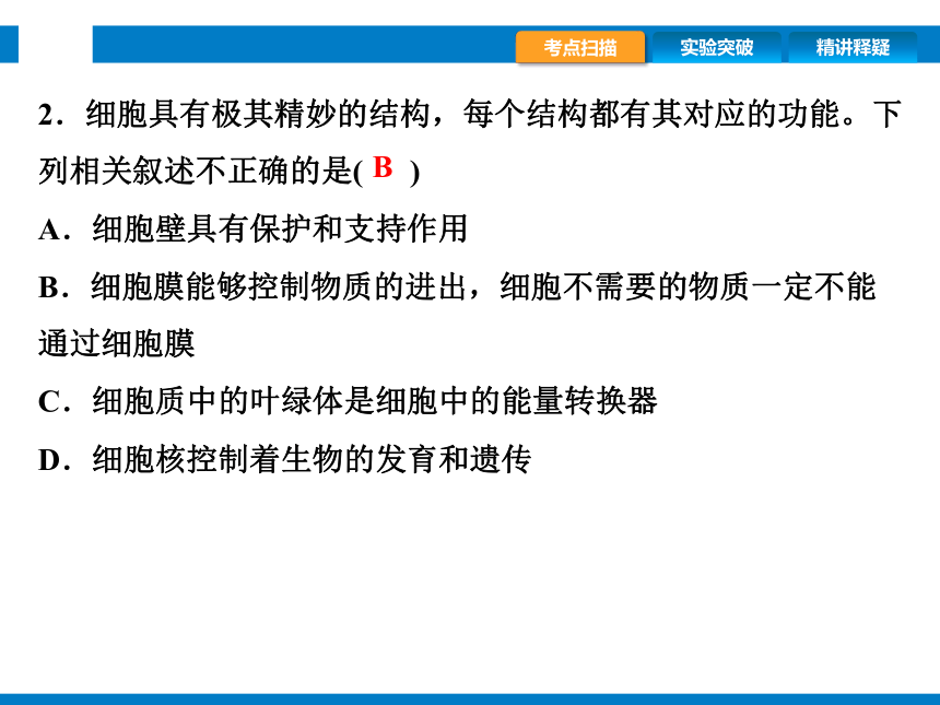 2024浙江省中考科学总复习第2讲　生物的结构与层次（课件 39张PPT）