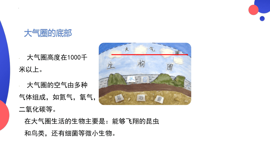 1.2.3 生物圈是最大的生态系统 课件(共24张PPT) 人教版生物七年级上册