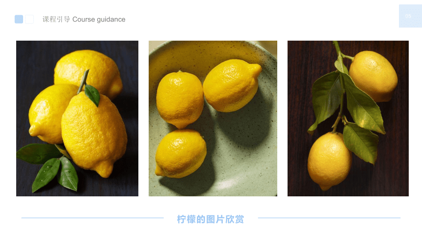 美术社团课程《蓝衬布上的黄柠檬》小学延时服务课件(共26张PPT)