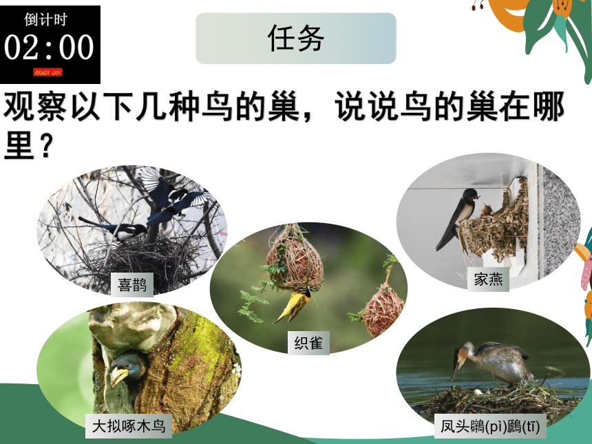 12 动物的巢穴 课件（25张PPT）(内含视频素材）