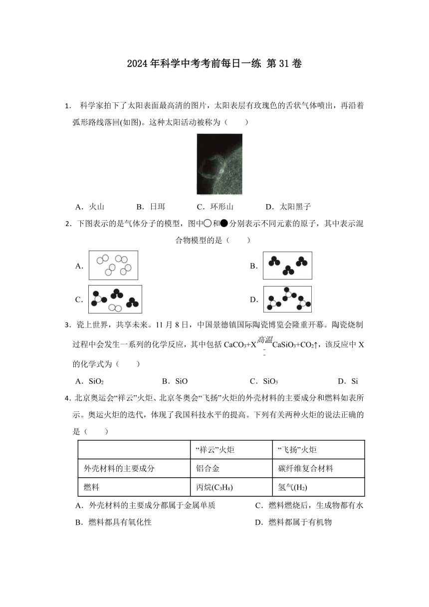 2024年浙江省科学中考考前每日一练 第31卷（含解析）