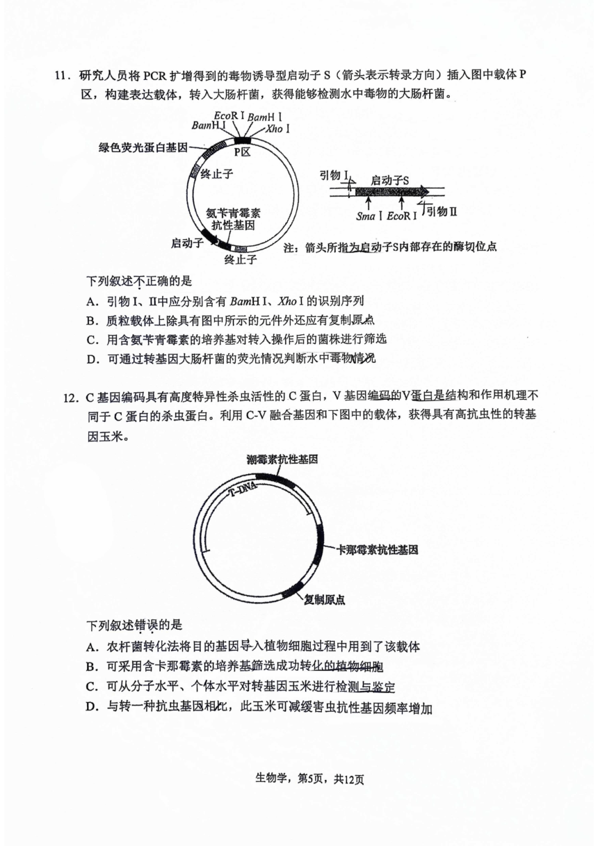 2024年北京市中国人民大学附属中学高二下学期期中生物试题（pdf版无答案）