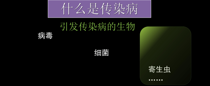 人教版八年级下册生物课件：8．1传染病和免疫小结课件（共26张PPT）