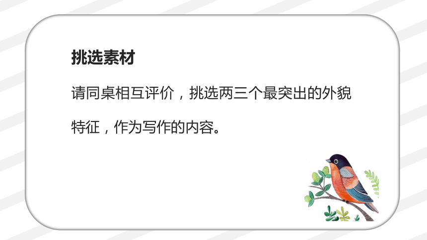 统编版四年级下册语文第七单元 习作：我的“自画像” 课件（2课时 25张）