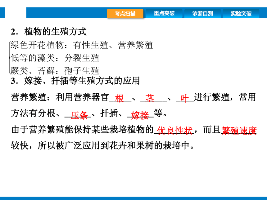 2024浙江省中考科学复习第9讲　细菌、真菌的繁殖　植物的生殖和发育（课件 39张PPT）