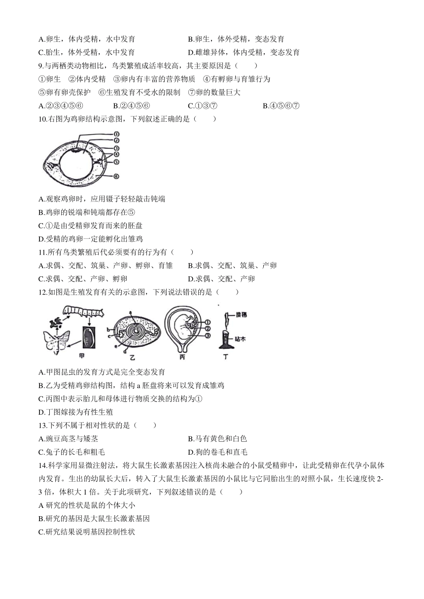 山东省德州市宁津县第三实验中学、第六实验中学2023-2024学年八年级下学期5月期中生物试题（含答案）