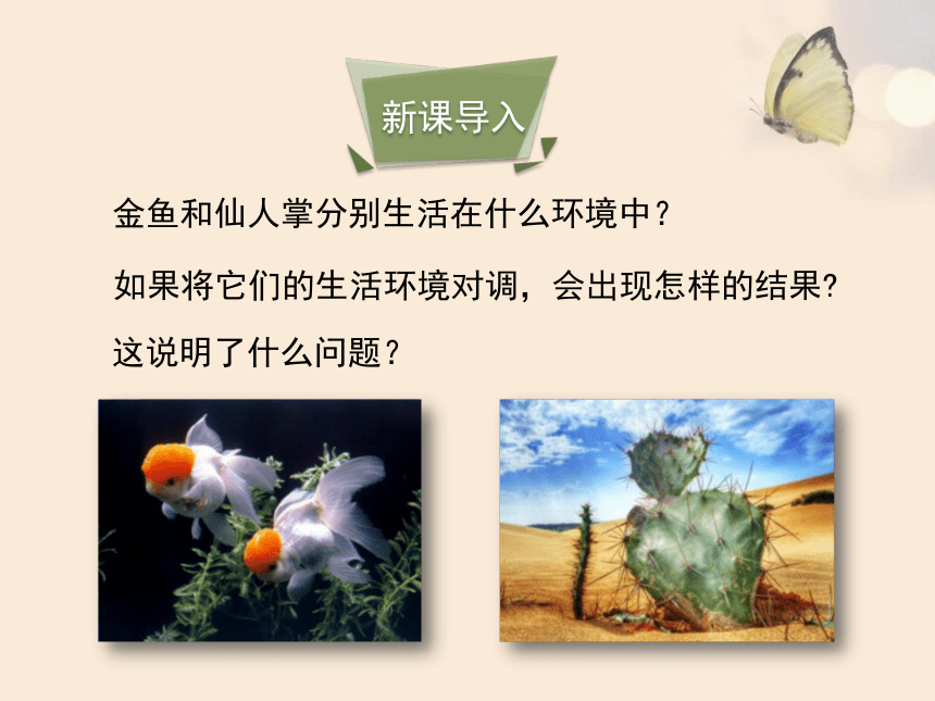 北师大版八年级生物下册 8.23.1 生物的生存依赖一定的环境课件(共28张PPT)