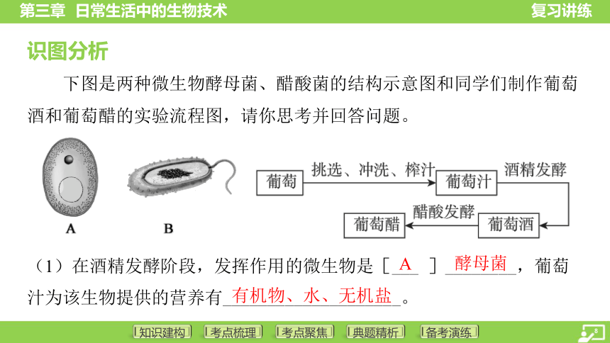 第一篇 第五单元 第三章 日常生活中的生物技术  课件 (共32张PPT)2024中考生物总复习专题突破(冀少版)