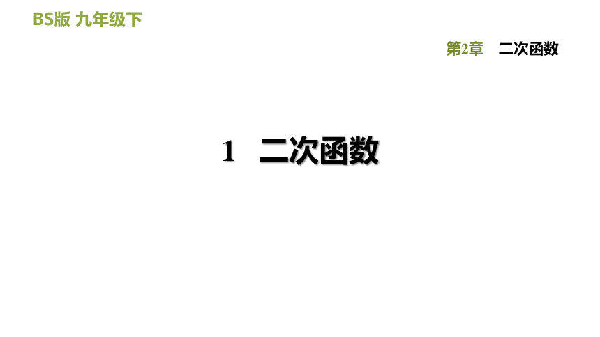 北师大版九下数学2.1二次函数习题课件（22张）