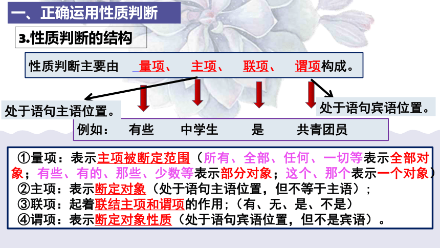 5.2正确运用简单判断 课件-2024统编版选择性必修三