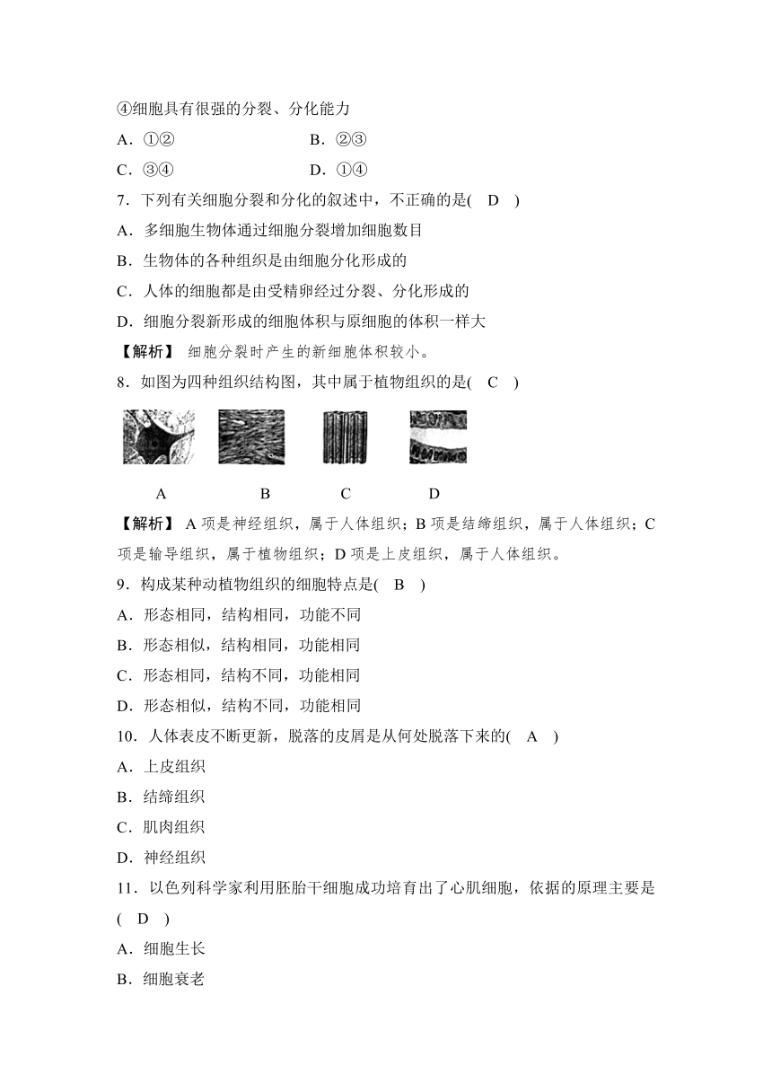 4.3 组织、器官和系统 同步测试（2课时，含答案）