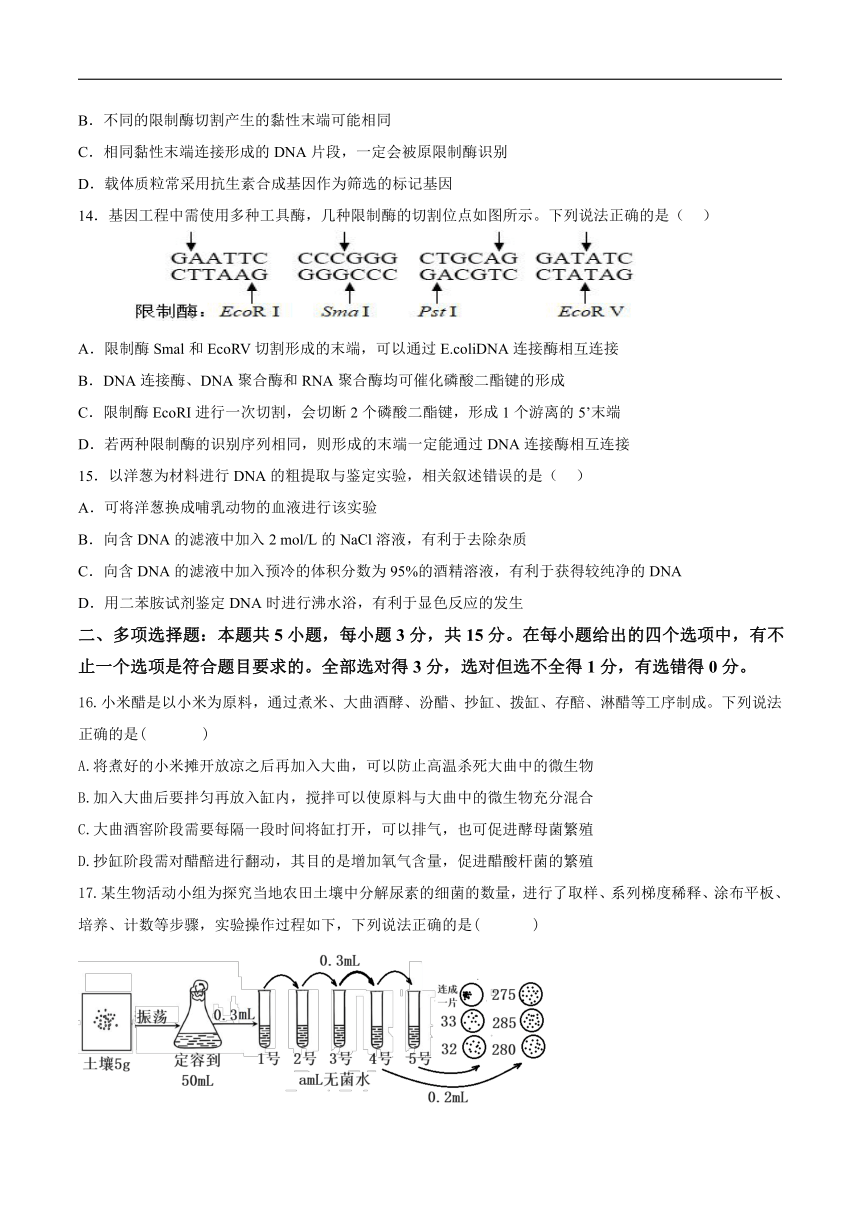 山西省阳泉市第一中学校2023-2024学年高二下学期5月期中考试生物试卷（含答案）