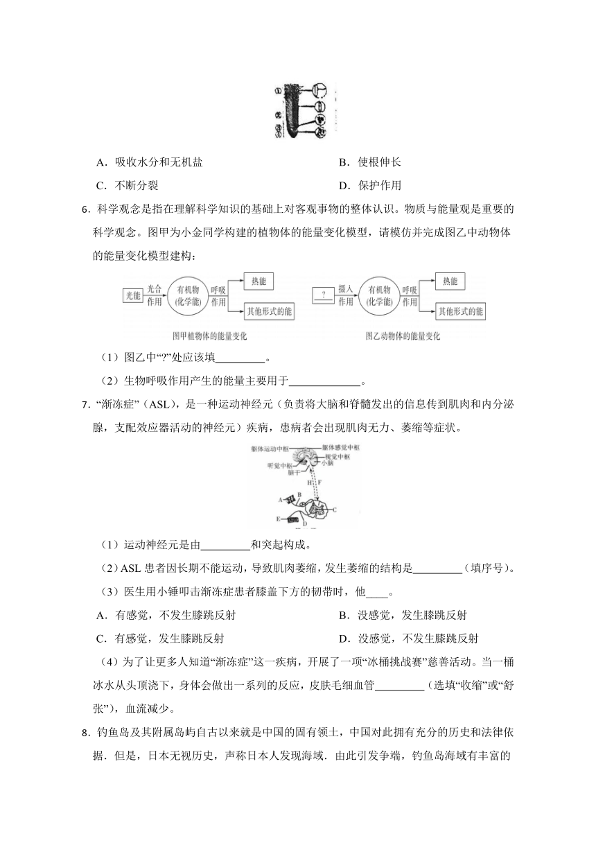 2024年浙江省科学中考考前每日一练 第45卷（含解析）