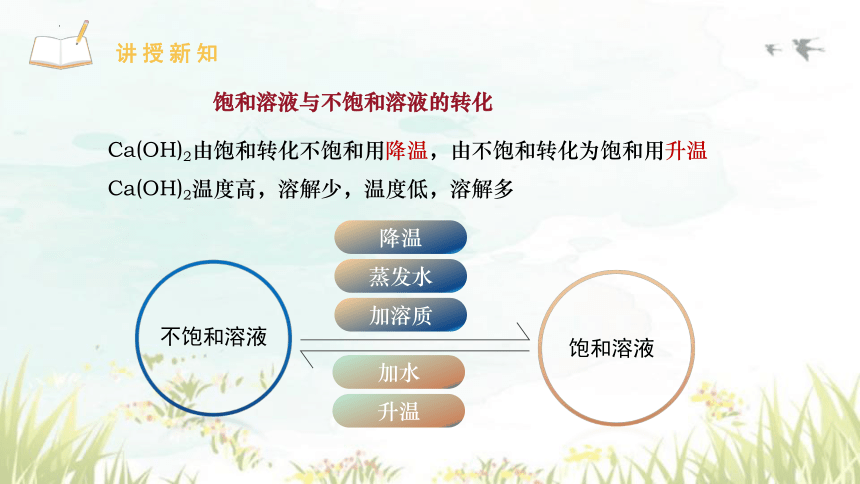 9.2溶解度（课时1饱和溶液）课件(共42张PPT)---2023-2024学年九年级化学人教版