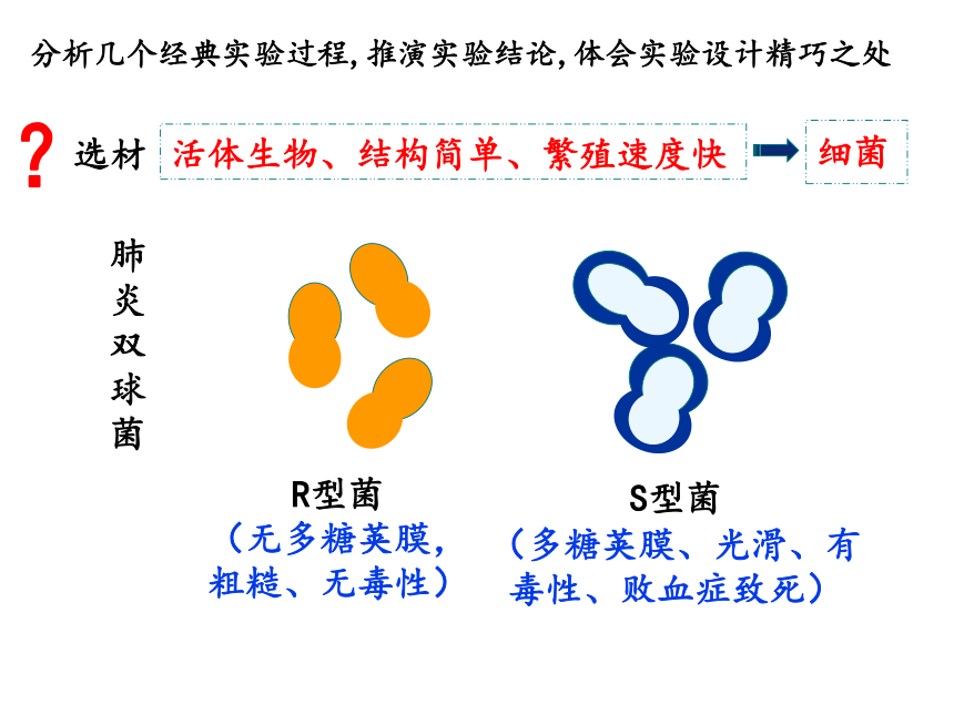 人教版高中生物必修二3-1 DNA是主要的遗传物质（共43张PPT）