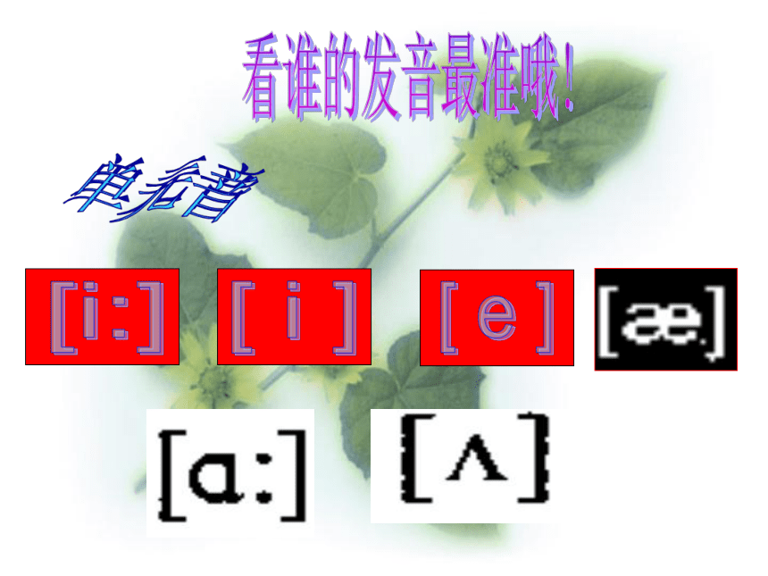 小升初复习专项——音标(共15张PPT)