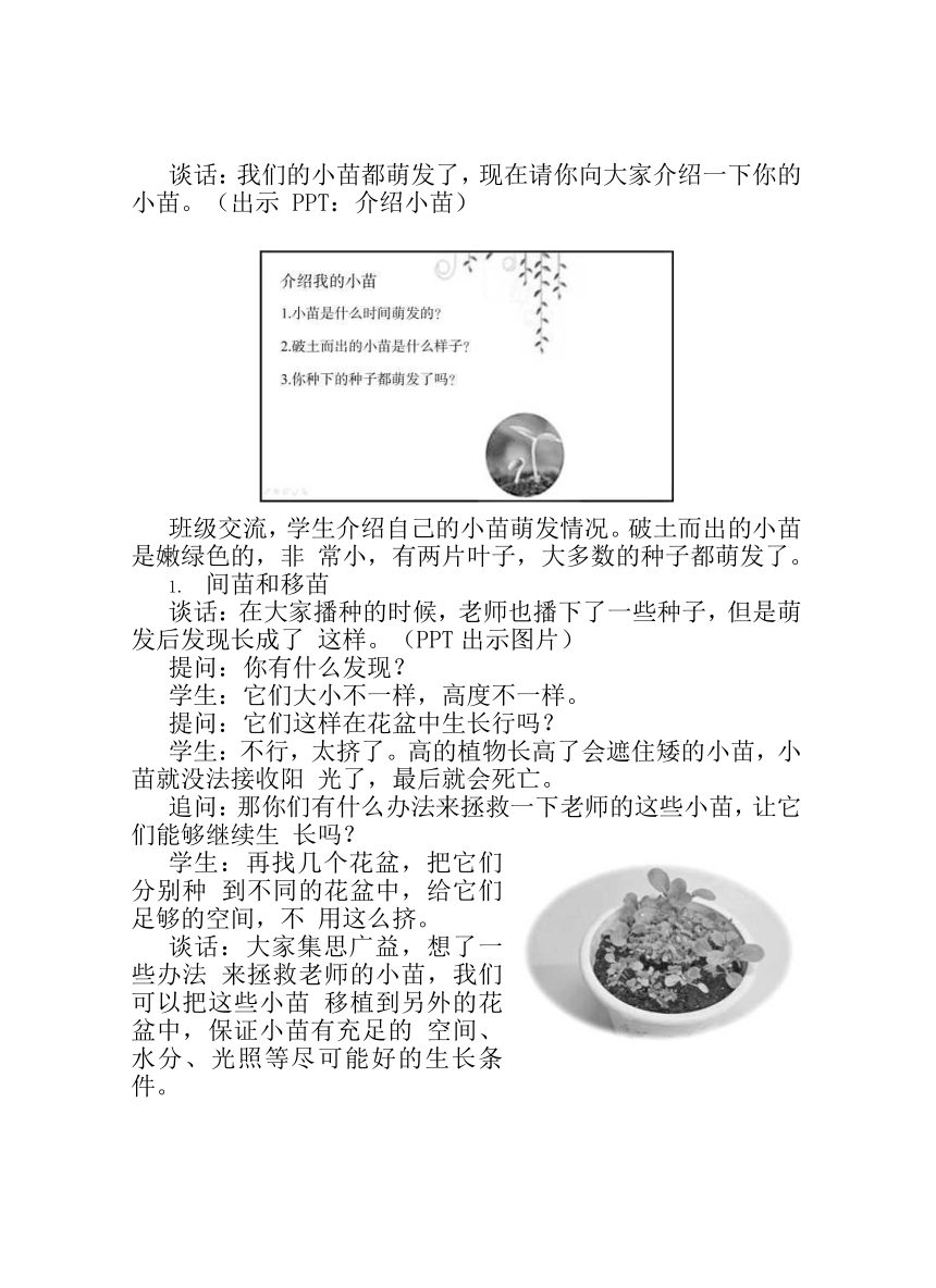 5.2 小苗快长 教案