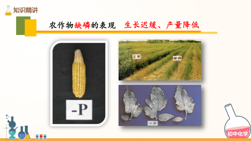 第十一单元 盐 化肥 课题2 化学肥料课件 （共25张PPT）