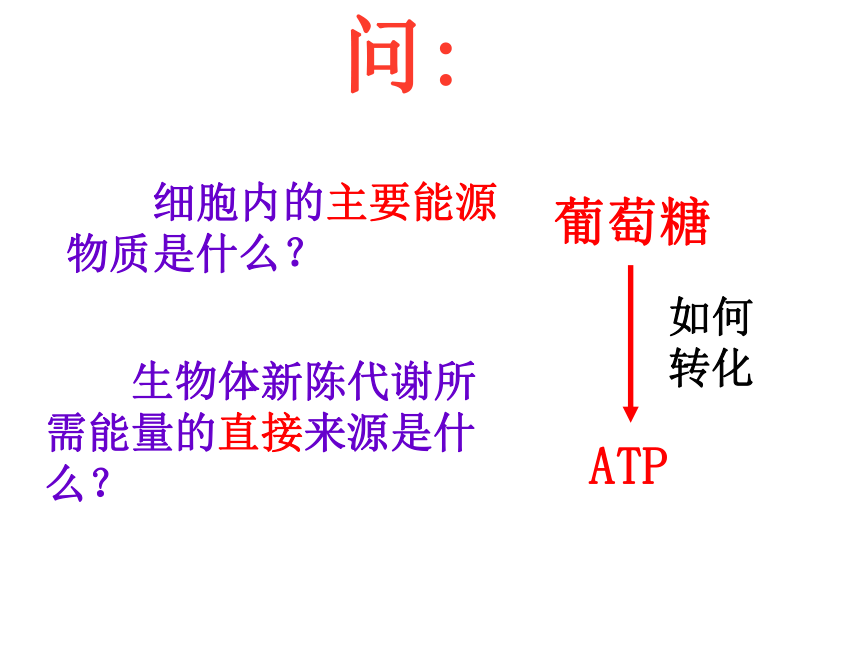 人教版必修1高中生物第3节 ATP的主要来源——细胞呼吸(56张PPT)