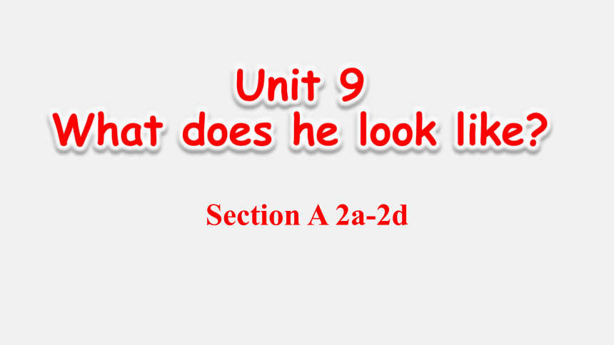 Unit 9 What does he look like?  SectionA2a-2d课件（共22张ppt）2023-2024学年人教版七年级英语下册