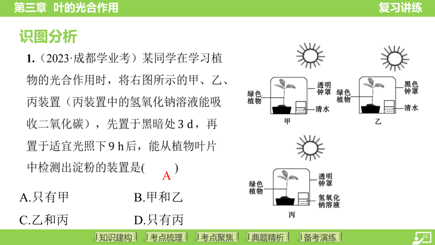 第一篇 第三单元 第三章 叶的光合作用  课件(共38张PPT) 2024中考生物总复习专题突破(冀少版)