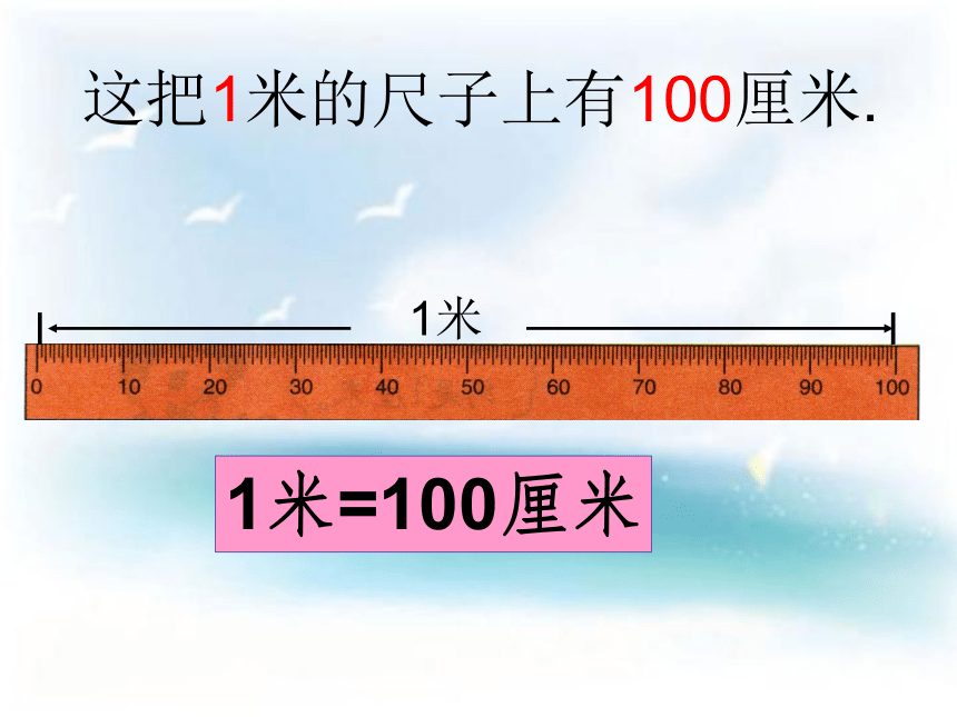 沪教版三上 5.2 米与厘米 课件  (共16张PPT)