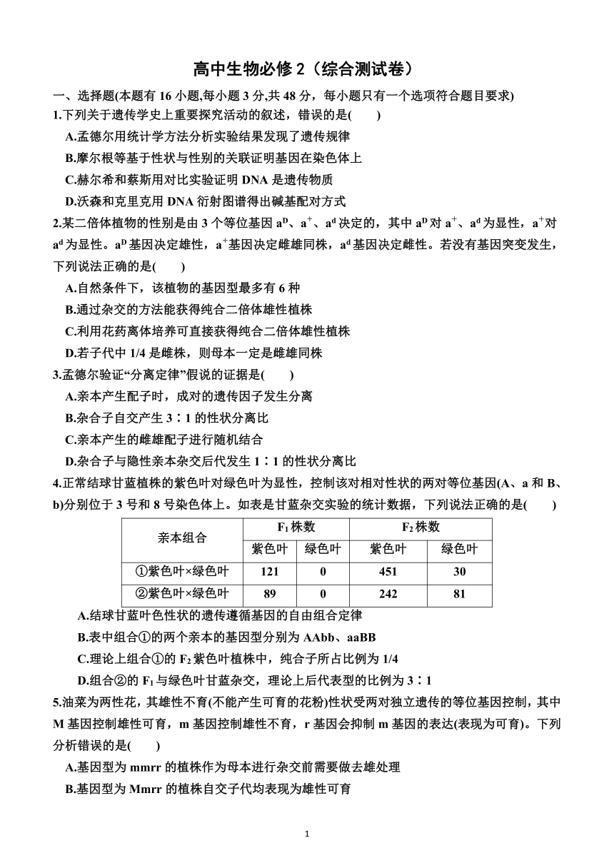 高中生物必修2（综合测试卷）（附答案）—2023-2024学年高一下学期生物必修2（人教版(2019））