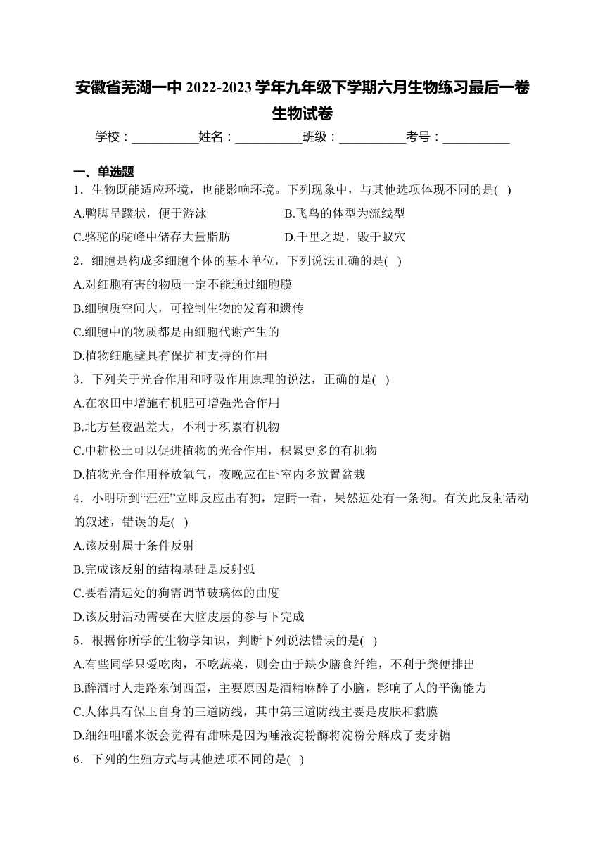 安徽省芜湖市第一中学2022-2023学年九年级下学期六月生物练习最后一卷生物试卷(含解析)