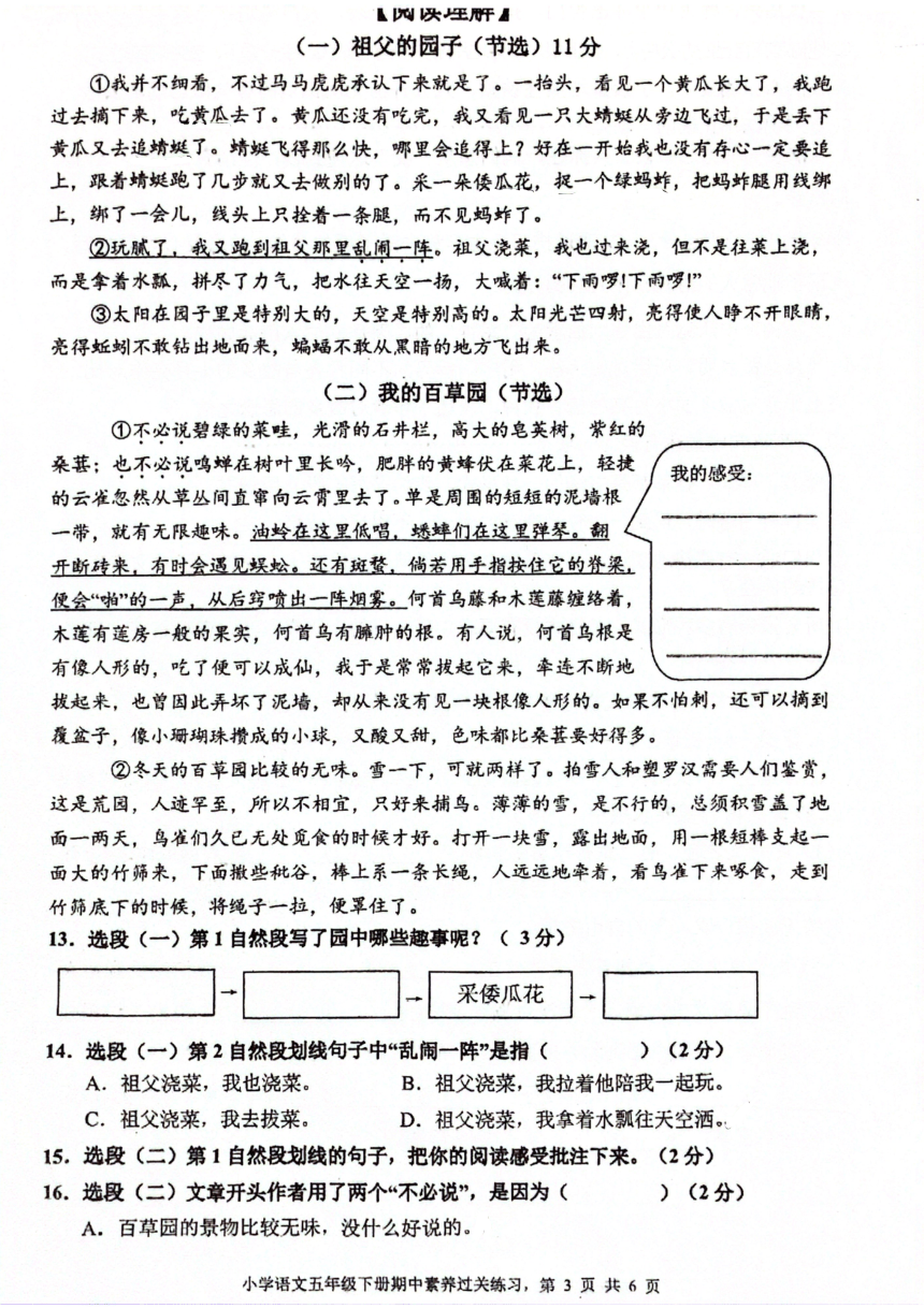 浙江省温州市洞头区实验小学2023-2024学年五年级下学期4月期中语文试题（图片版，无答案）