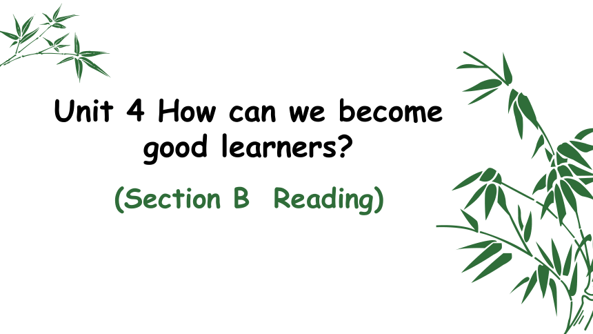Unit 4 How can we become good learners ?  Section B 2a-2e课件17张