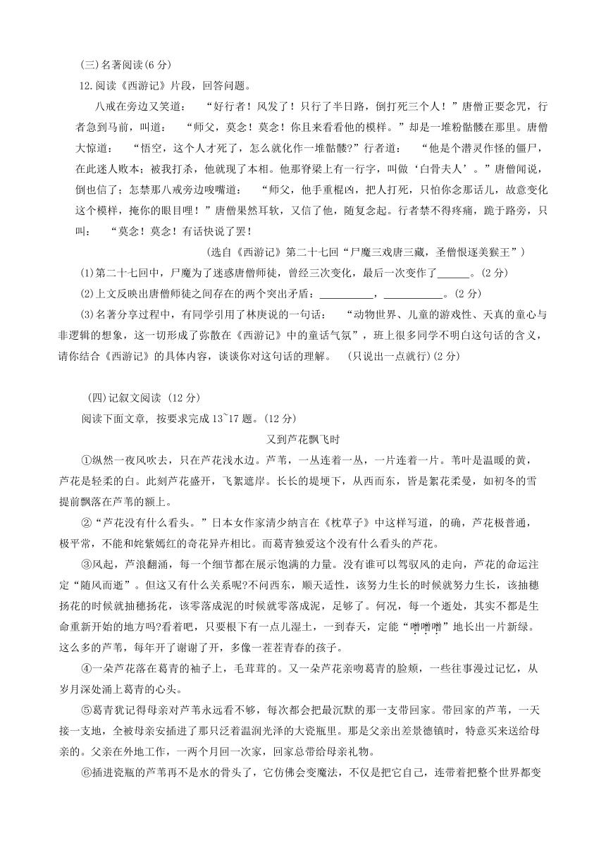 2024年海南省省直辖县中考二模联考语文试题（含答案）