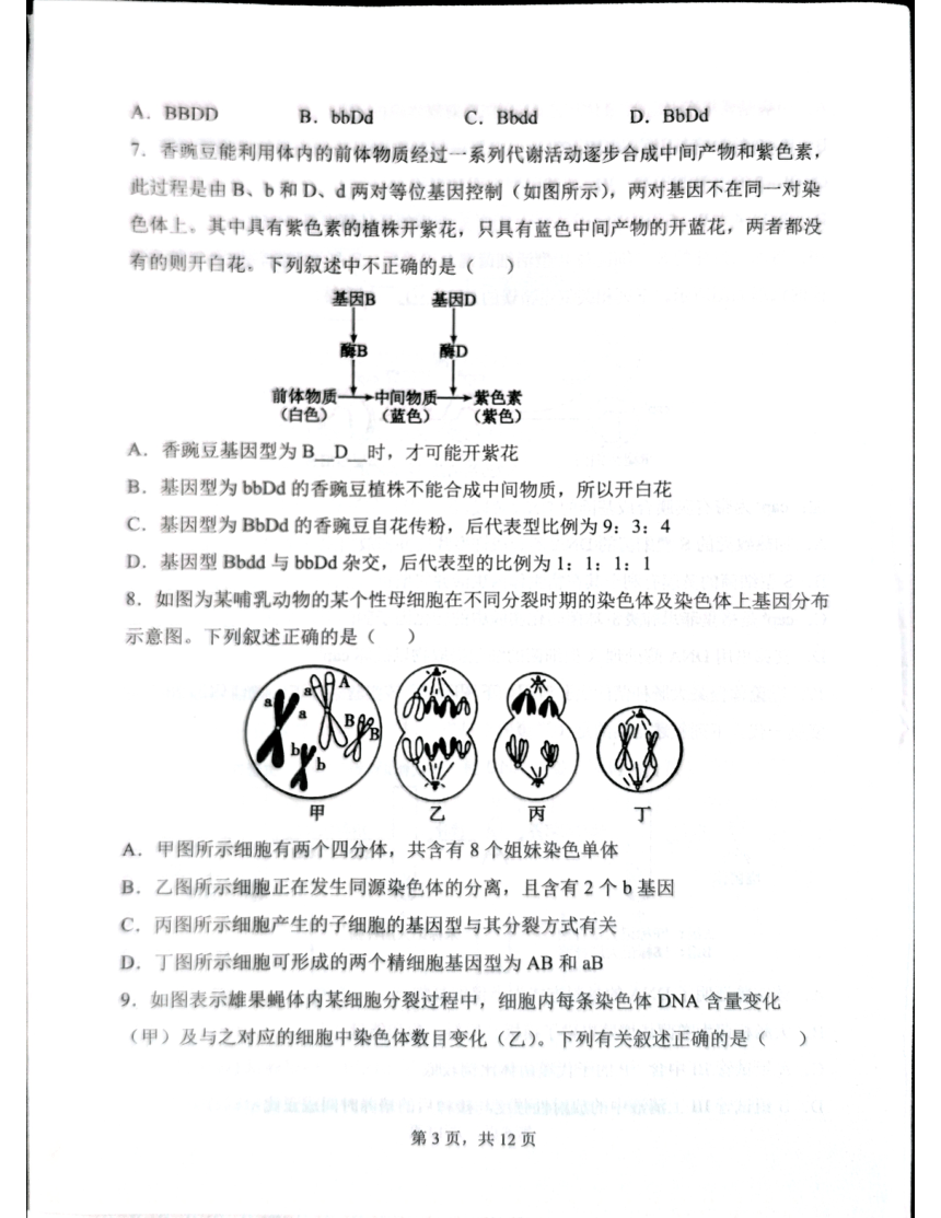 云南省红河哈尼族彝族自治州2023-2024学年高一下学期5月期中考试生物试题（pdf版无答案）