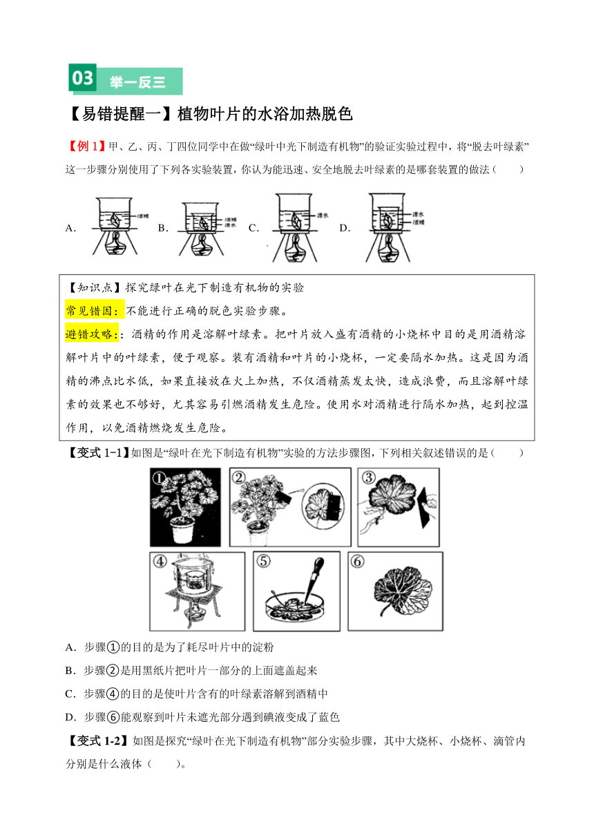 易错点05 绿色植物的三大生理作用-备战2024年中考生物易错题（含解析）