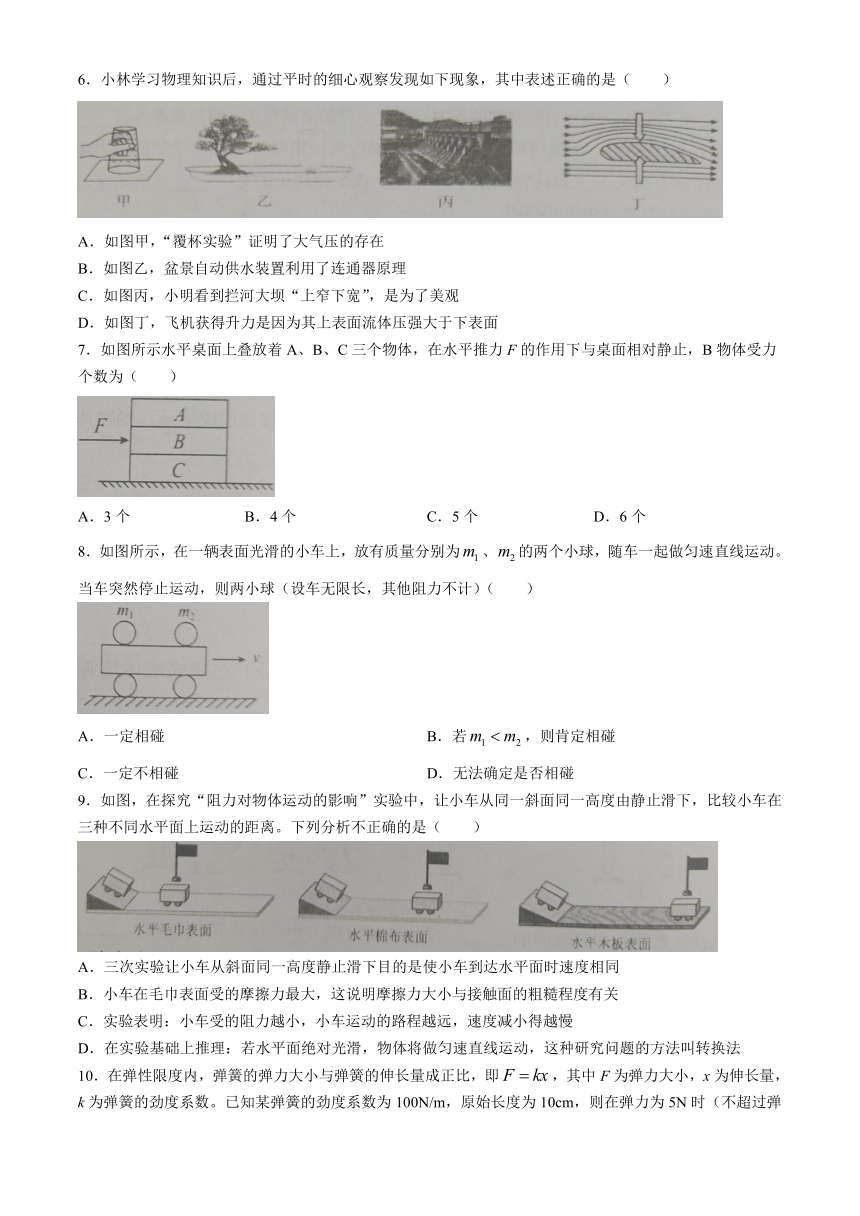 湖南省永州市蓝山县2023-2024学年八年级下学期4月期中物理试题（含答案）