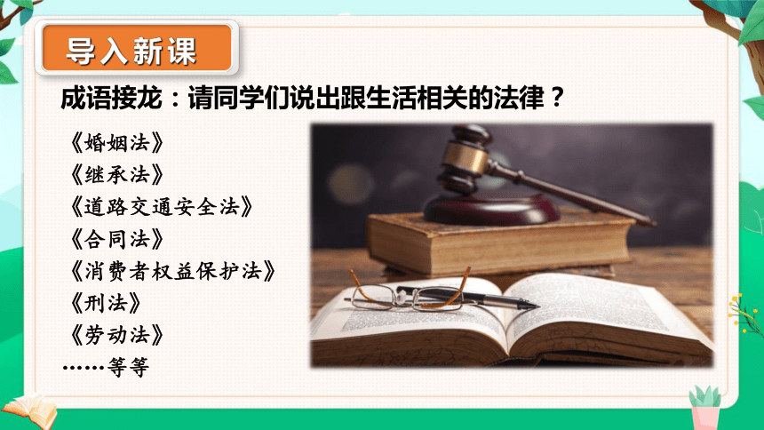 （核心素养目标）9.2 法律保障生活 课件(共28张PPT)