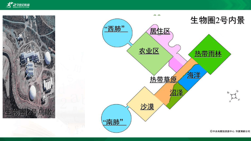 4.7.1分析人类活动破坏生态环境的实例 课件（30张PPT）