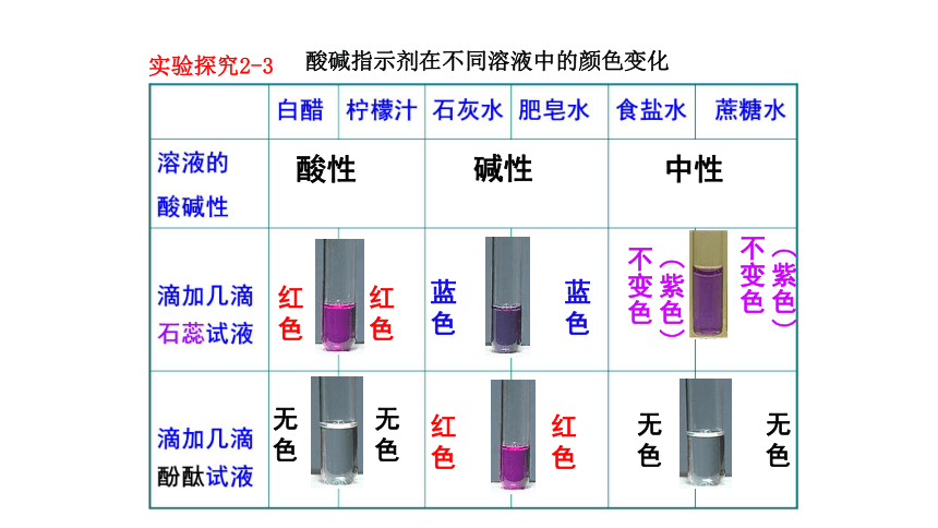 2.1.3  溶液的酸碱性　课件(共24张PPT)初中化学　鲁教版（五四制）　九年级全册