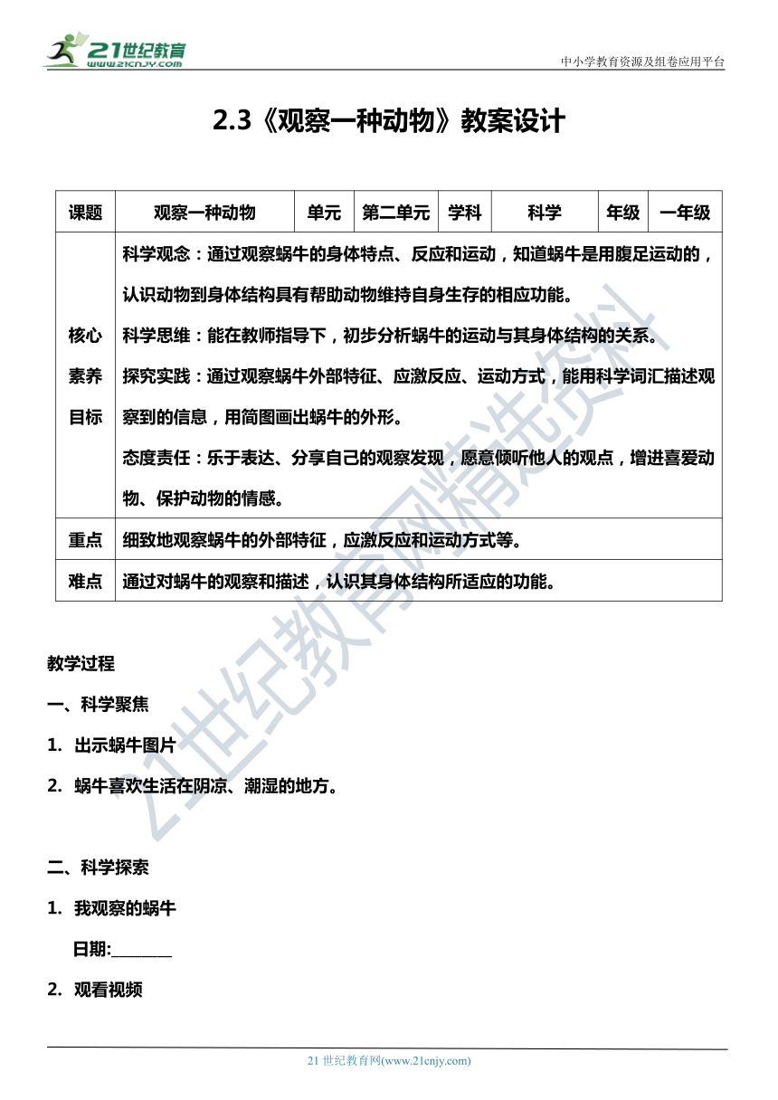 （核心素养目标）2.3 观察一种动物  教案设计